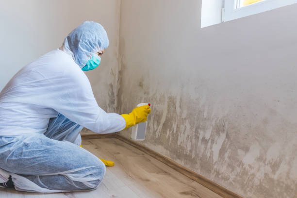 Mold inspector in Fort Lee performing thermal imaging
