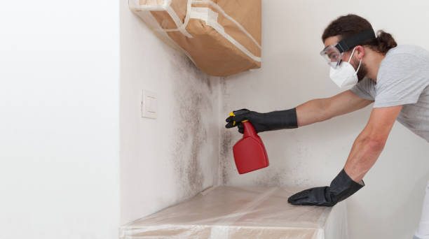 Attic Mold Remediation treatment on roof deck in Fort Lee