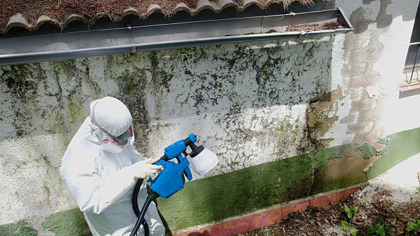 Mold Remediation service in Fort Lee, Fort Lee, VA